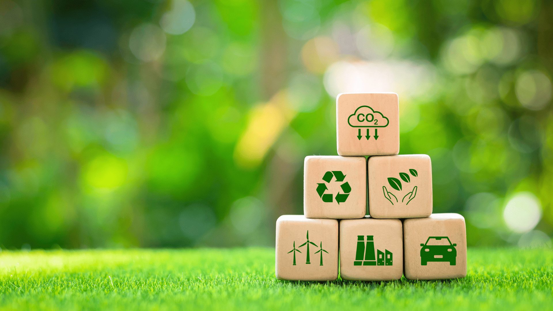 Piee interiors sustainability focus